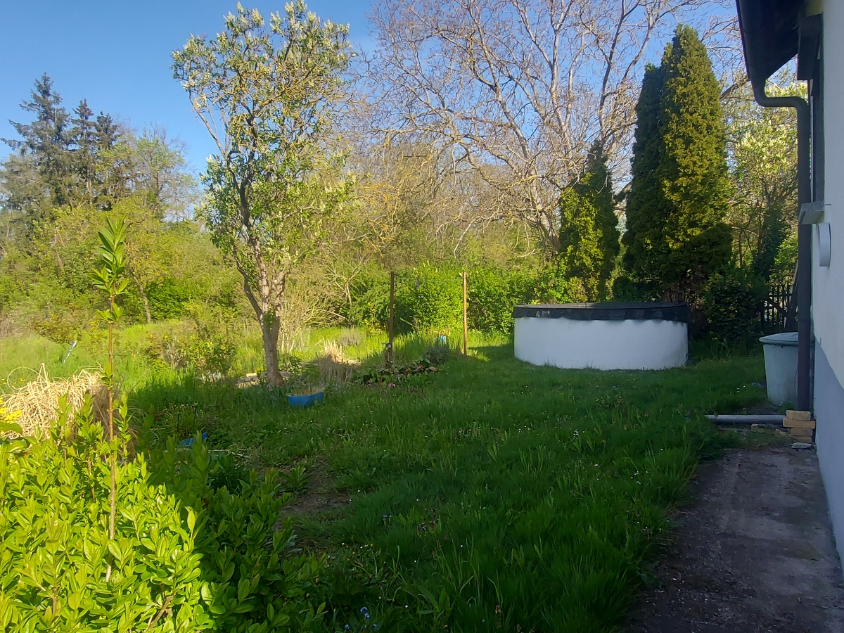 Garten mit Pool Askania Immobilien