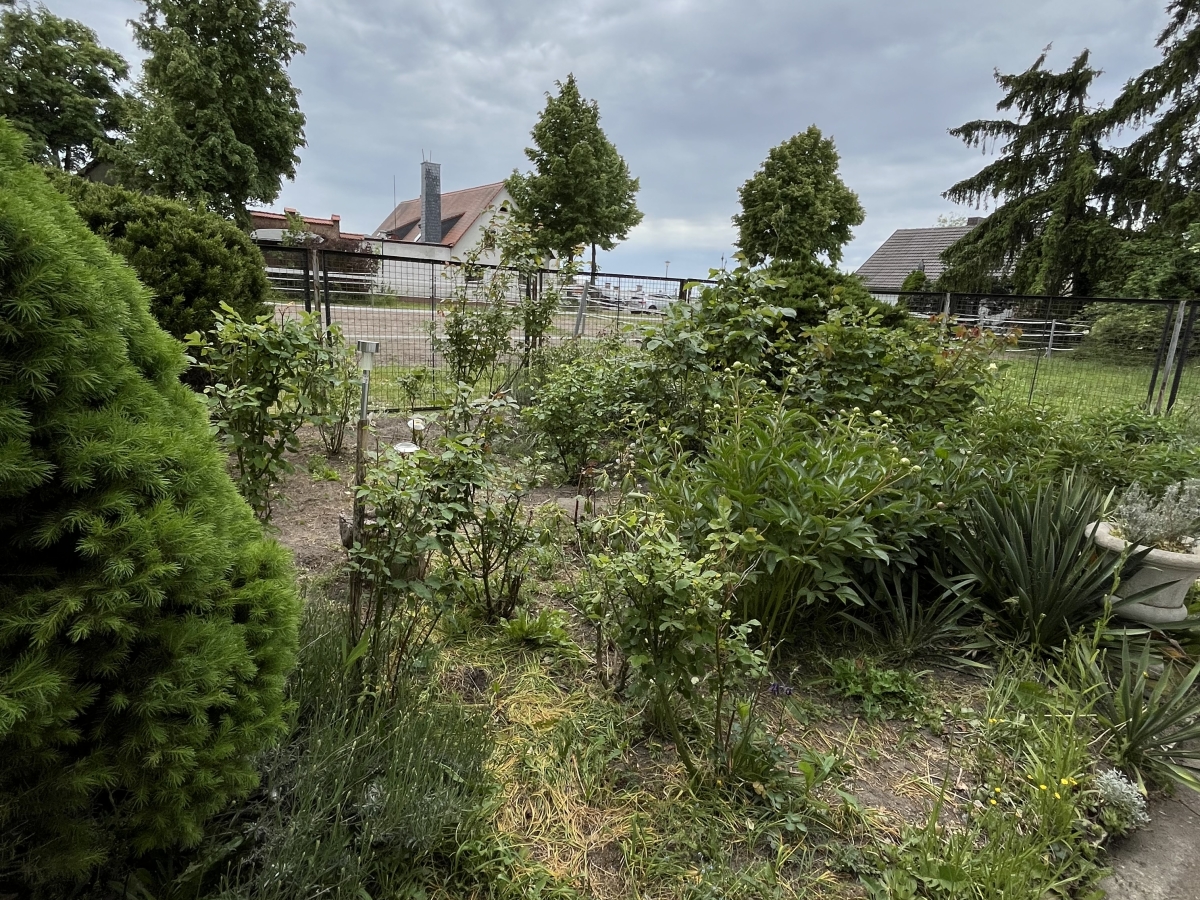 Garten Askania Immobilien