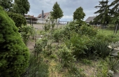 Garten Askania Immobilien