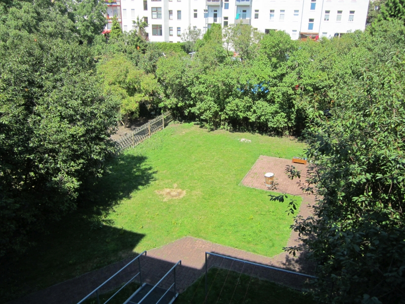 Blick in den Garten